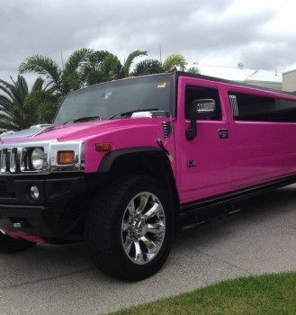 14 Seater Pink Hummer